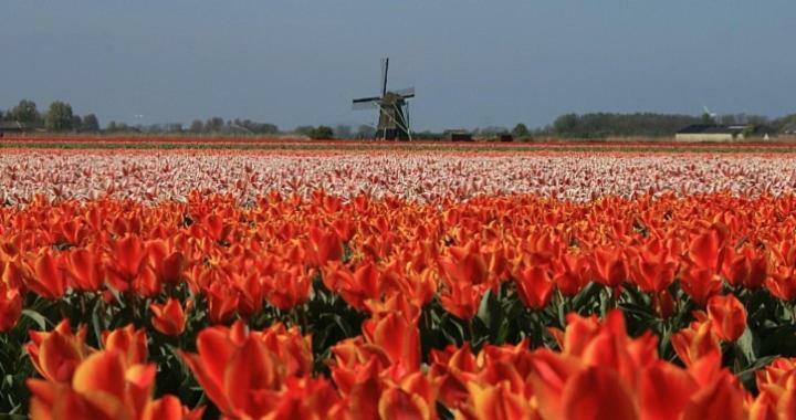 Vakantieverblijf Aan De Dijk Ξενοδοχείο Hippolytushoef Εξωτερικό φωτογραφία