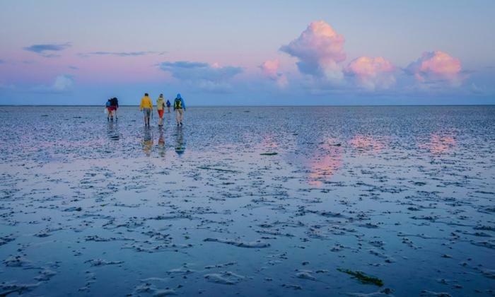 Vakantieverblijf Aan De Dijk Ξενοδοχείο Hippolytushoef Εξωτερικό φωτογραφία